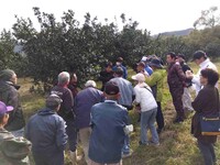 四万十ぶしゅかん