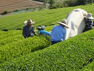令和３年５月高吾情勢報告