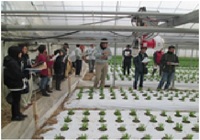 JA四万十ニラ部会立西支部会