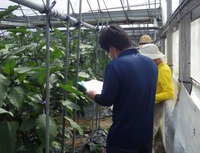 令和6年6月情勢報告