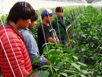 普及活動情勢報告　平成28年11月