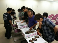 ミョウガ腐敗対策