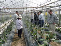 情勢報告Ｈ２８年３月