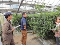 情勢報告１０月