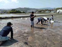 情勢報告【４月】