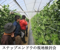 普及活動情勢報告　平成29年2月