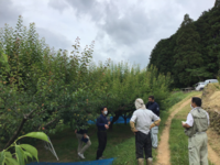 高吾情勢報告令和３年６月