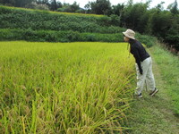 令和5年10月情勢報告