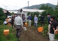 【情勢報告】中央東7月