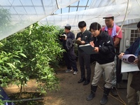 普及活動情勢報告　平成28年3月