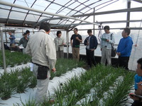 普及活動情勢報告　平成29年3月