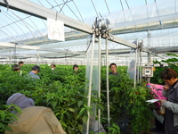 普及活動情勢報告　平成29年１月