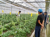 令和４年１０月高吾情勢報告