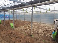 情勢報告【７月】