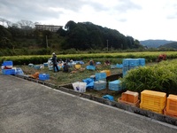 令和３年１１月高吾情勢報告