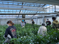 【情勢報告画像】中央東11月