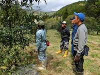 ユズ剪定講習会