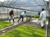 集落営農組織が活動開始