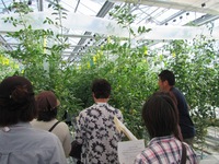 普及活動情勢報告　平成28年5月