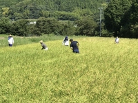 普及活動情勢報告　平成30年8月