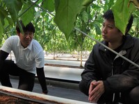 「SAWACHI」を活用したデータ駆動型農業の実践～「ナス通信」の配布～