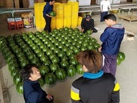 普及活動情勢報告　平成30年5月