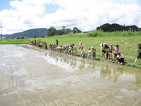 具同小学校田植え