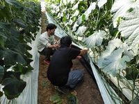 アドバイザー指導