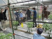 令和5年5月情勢報告