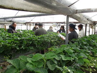 普及活動情勢報告　令和６年１月