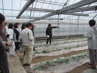 普及活動情勢報告　平成29年5月