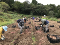 令和３年１１月情勢報告