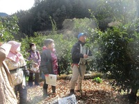 ・管理しやすい樹を目指して～ユズ剪定講習会を開催～