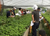 平成２９年８月