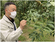 情勢報告タイトル画像202404