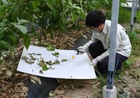 情勢報告【11月】