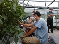 令和４年６月情勢報告