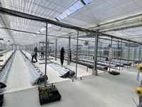 【情勢報告】中央東9月