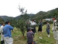 三原村ユズ若木整枝剪定講習会