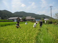 普及活動情勢報告　平成27年8月