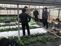 情勢報告１１月