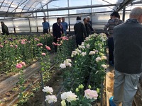 普及活動情勢報告　平成31年2月