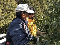 普及活動情勢報告　平成30年2月