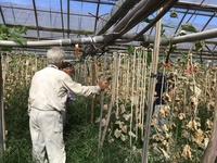 キルパー勉強会