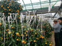 普及活動情勢報告　平成２９年６月