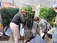 令和７年２月高吾情勢報告