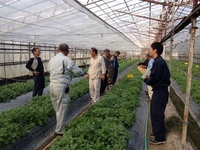 普及活動情勢報告　平成27年11月