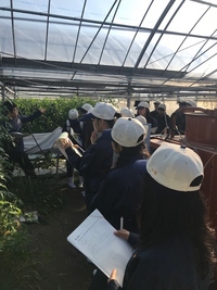 幡多農業高校生の農家現地研修会