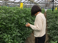 須崎農振　情勢報告11月