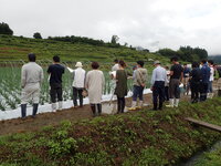 露地ニラ現地検討会